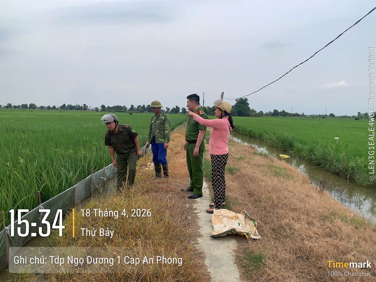 Phòng Cảnh sát Hình sự: Cảnh báo về việc dùng điện để bẫy, bắt, diệt chuột trong sản xuất, trồng trọt